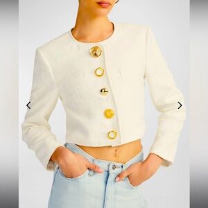 Derek Lam 10 Crosby Crop Novelty Jacket